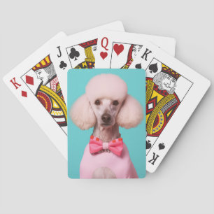 Poodle Pop Art – Elegant & Retro Spielkarten