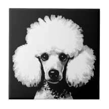 Poodle Pop Art Inspiriert Retro Chic