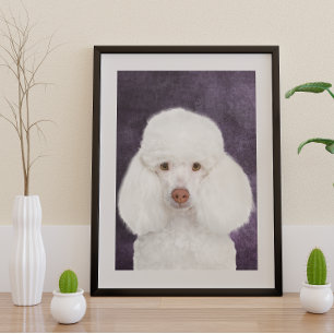Poodle Poster