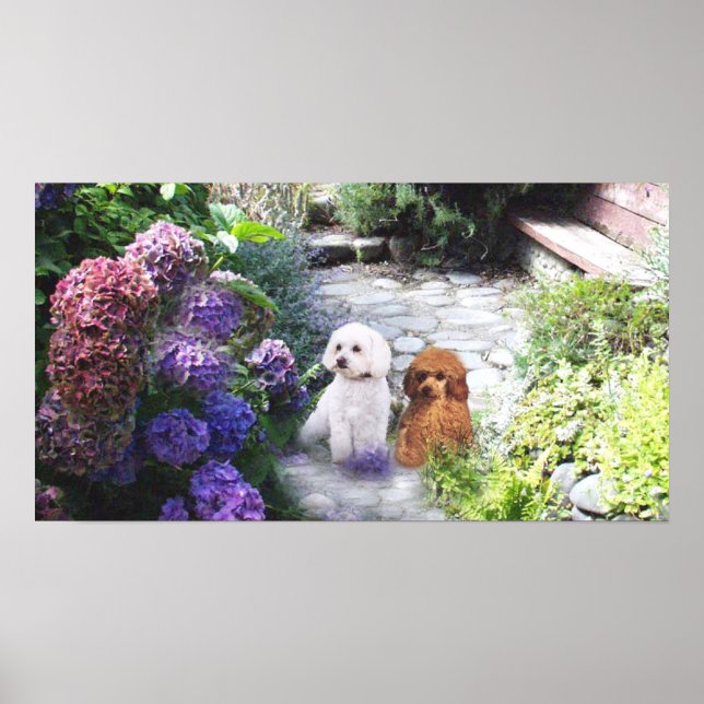 Poodle Poster Hydrangeas (Vorne)