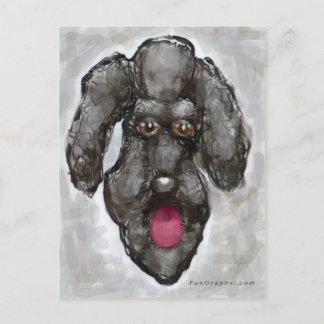 Poodle Postkarte