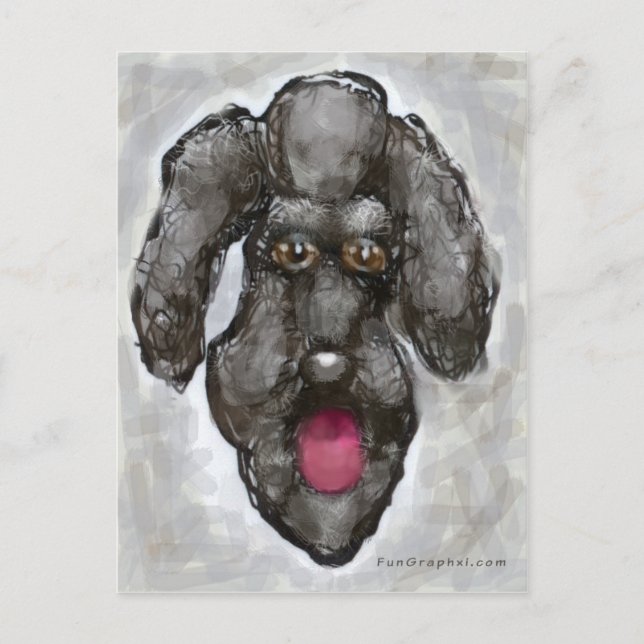 Poodle Postkarte (Vorderseite)