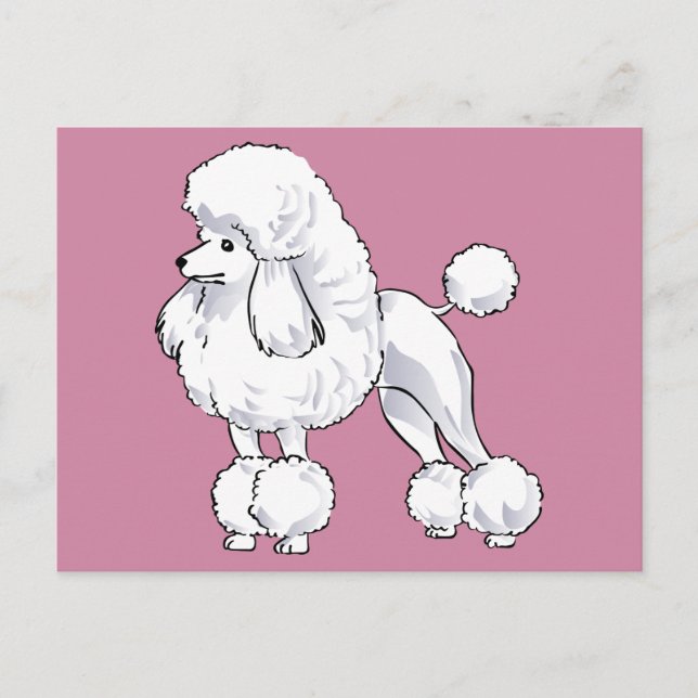 Poodle Postkarte (Vorderseite)