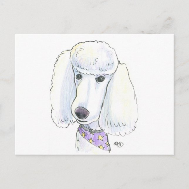 Poodle Postkarte (Vorderseite)
