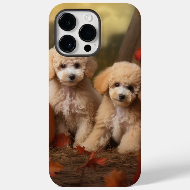Poodle Puppy Autumn Delight Pumpkin Case-Mate iPhone Hülle (Rückseite)