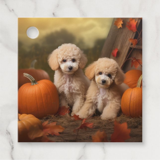 Poodle Puppy Autumn Delight Pumpkin Geschenkanhänger (Vorderseite)