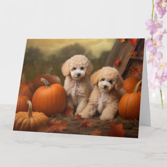 Poodle Puppy Autumn Delight Pumpkin Karte (Orchidee)