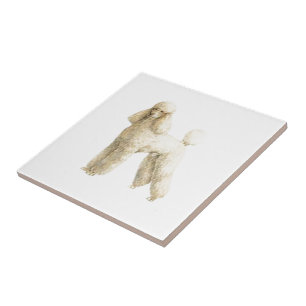 Poodle — Puppy Clip Fliese