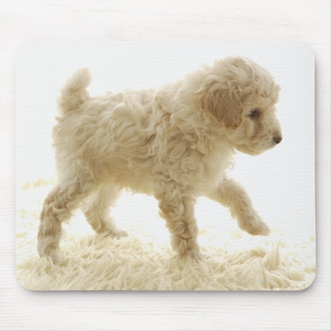 Poodle Puppy Mousepad (Vorne)