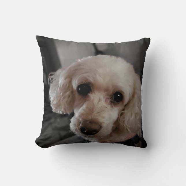 Poodle Puppy Pillow Kissen (Vorderseite)