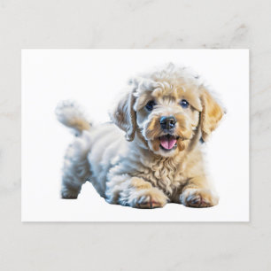 Poodle Puppy Postkarte