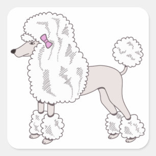 Poodle Quadratischer Aufkleber