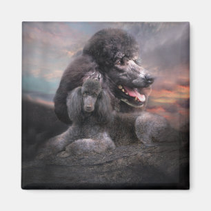 Poodle Rock Magnet