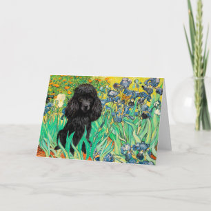 Poodle (schwarz 1) - Ire Karte