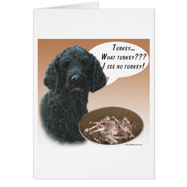 Poodle (schwarz) Türkei (Vorne)