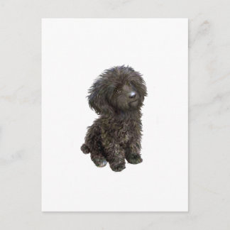 Poodle - Schwarzes Spielzeug Postkarte