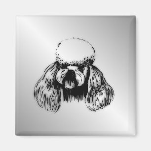 Poodle Silber Magnet