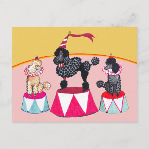 Poodle Sisters Circus Act Postcard Postkarte