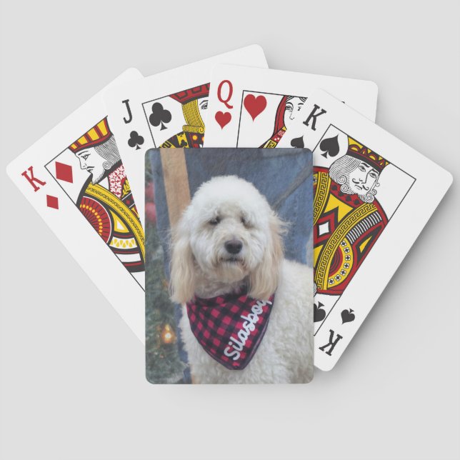 Poodle Spielkarten (Rückseite)