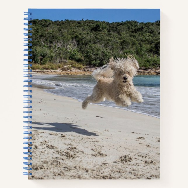 Poodle Spiral Notebook Notizbuch (Vorderseite)
