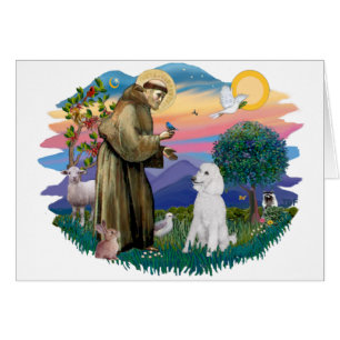 Poodle (Standard White)