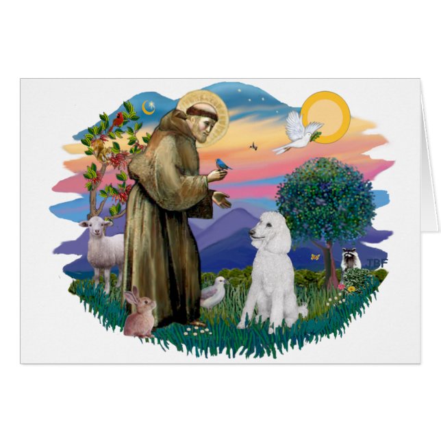 Poodle (Standard White) (Vorderseite (Horizontal))