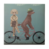 Poodle Tandem