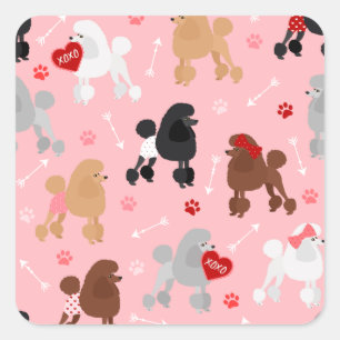 Poodle Valentine Muster Quadratischer Aufkleber