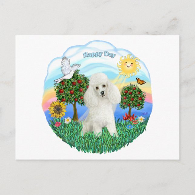 Poodle (weiß #14) postkarte (Vorderseite)