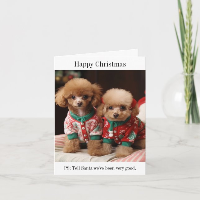 Poodle Welppies Weihnachtskarte Karte (Vorderseite)