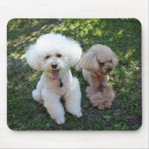 Poodles Mousepad