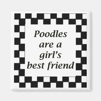 Poodles sind die beste Freundin eines Mädchens Magnet