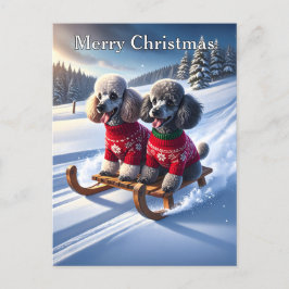 Poodles Sled Ride Christmas Postkarte