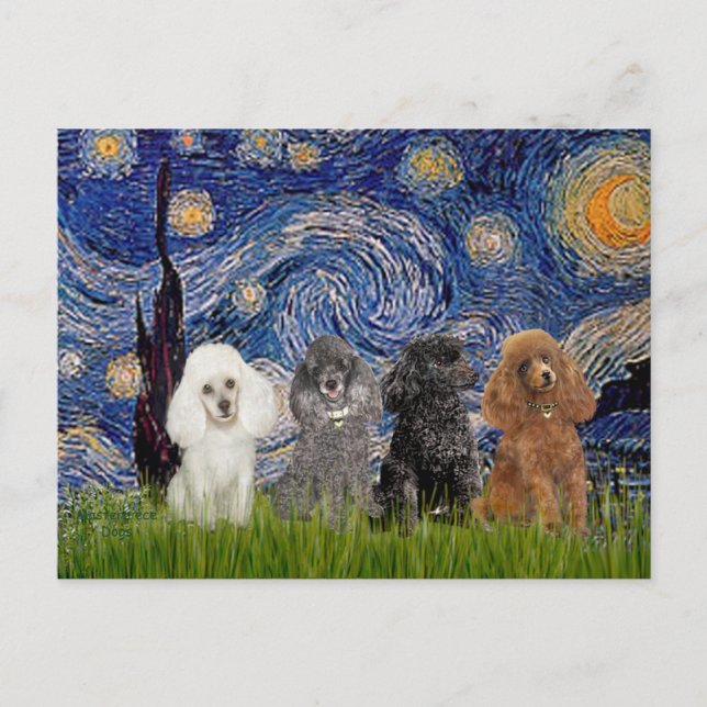 Poodles (vier) - Starry Night Postkarte (Vorderseite)