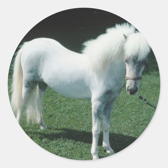 Poofy White Pony Runder Aufkleber (Vorderseite)