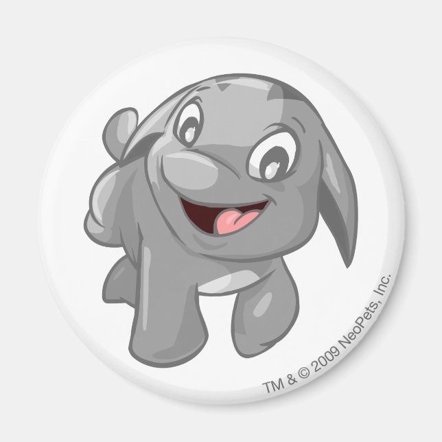 Poogle Silver Magnet (Vorne)