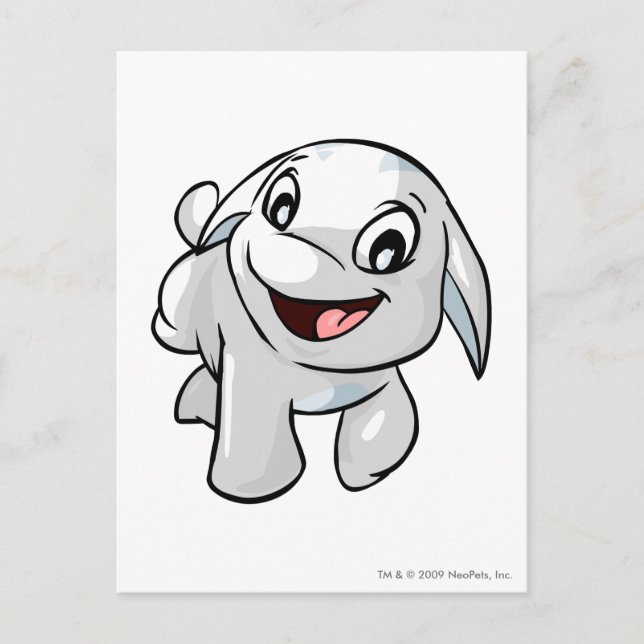 Poogle White Postkarte (Vorderseite)
