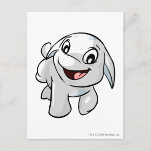 Poogle White Postkarte