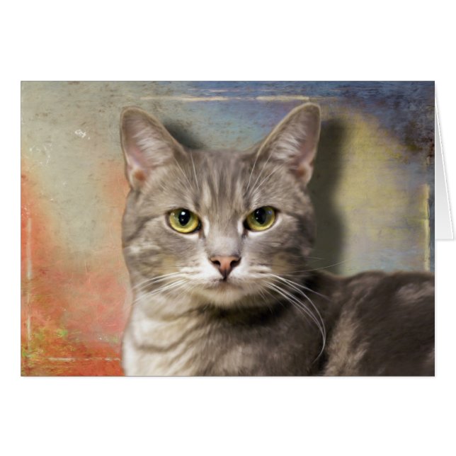 Pookie die graue Katze (Vorderseite (Horizontal))