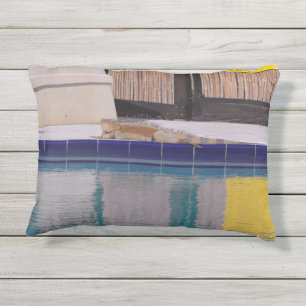 Pool der Iguana Kissen Für Draußen