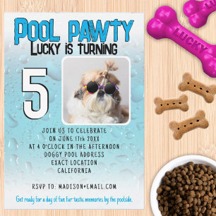 Pool-Party für Hunde mit individuellem Foto zum Ge Einladung