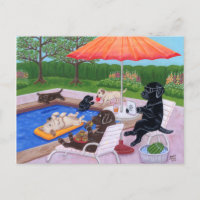 Pool Party Labradors 2 Bilder