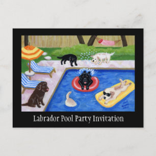 Pool-Party Labradors Einladungspostkarte