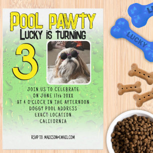Pool-Party mit Hund und individuellem Foto zum Geb Einladung