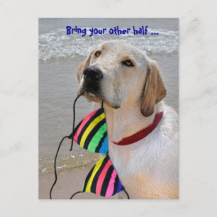 Pool Party Spaß Einladung