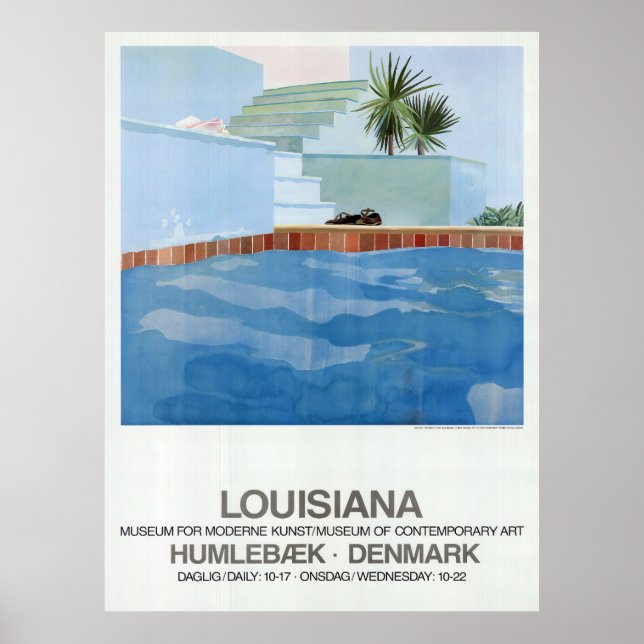 Pool und Stufen Poster (Vorne)