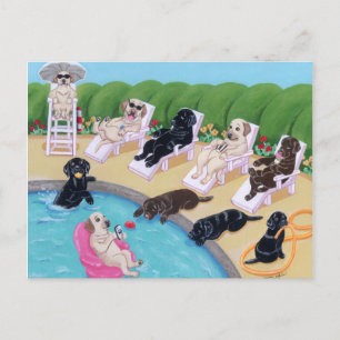 Poolside Party Labradors Malerei Postkarte
