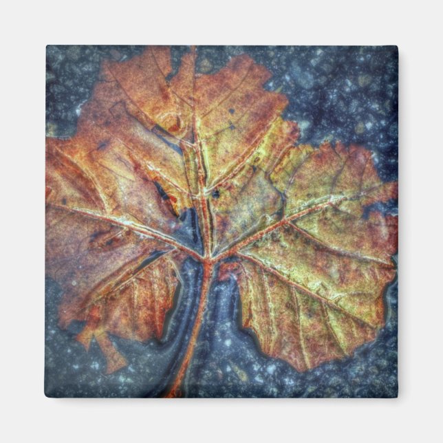 Pop Art Autumn Leaf Magnet (Vorne)