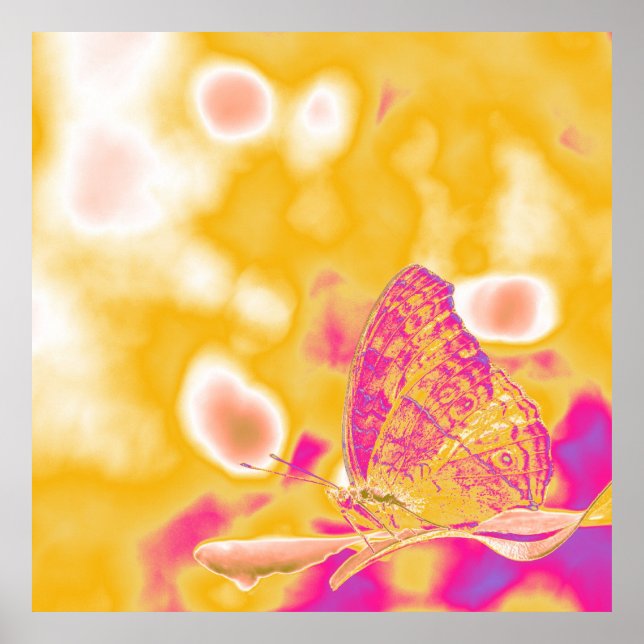 Pop Art Butterfly Poster (Vorne)