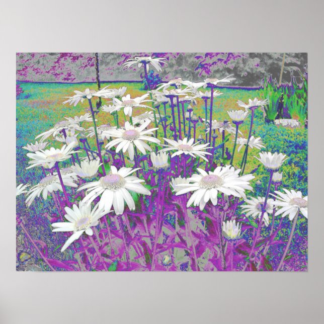 Pop Art Daisies Poster (Vorne)